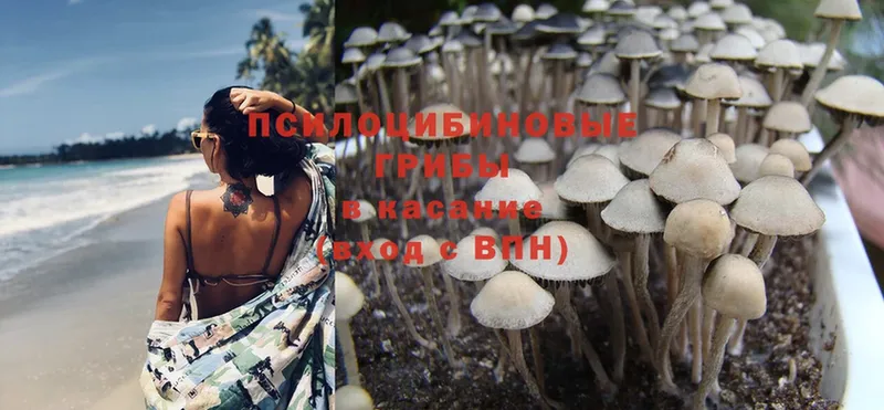 Галлюциногенные грибы Magic Shrooms Кирс